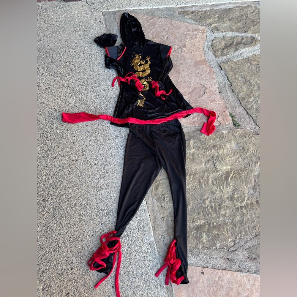 Halloween Costume - Women’s Black and Red Dragon Ninja